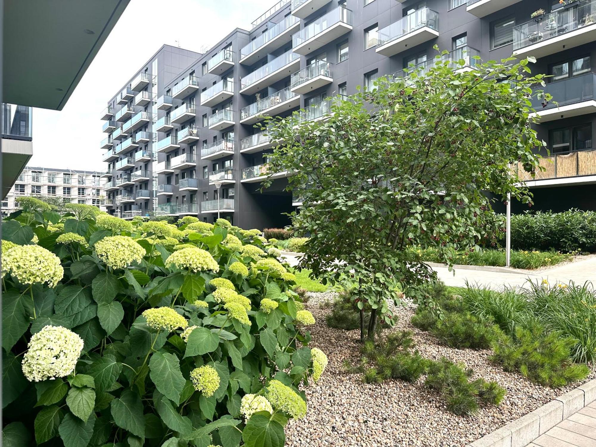 Mieszczanska 25 Apartment - Self Check-In 20H - Parking & Lift 弗罗茨瓦夫 外观 照片
